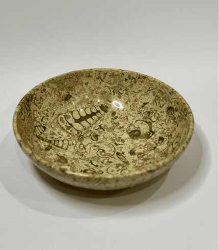 FOSSIL LARGE SALAD BOWL