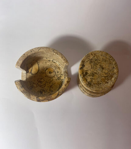 FOSSIL COASTERS SET OF 6 - SMALL