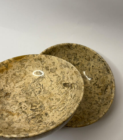 FOSSIL BOWL SMALL